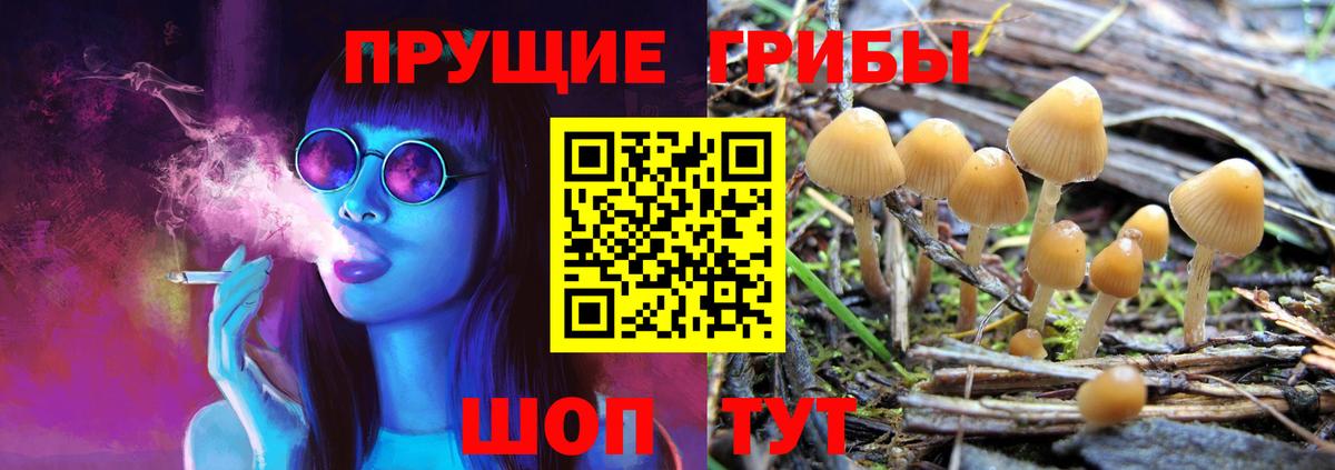 Псилоцибиновые грибы Magic Shrooms Миллерово